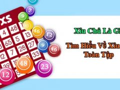 Các loại xỉu chủ