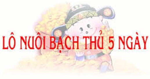 nuoi-lo-khung-5-ngay-1 Nuôi lô khung 5 ngày