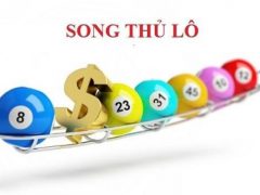 Các thuật ngữ trong lô đề - SOng thủ lô là gì